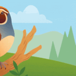 Android Studio Quail 4 Arrives with Native Gemma 4 Integration and Curated Android AI Skills