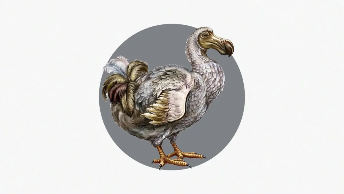 Colossal Biosciences Leverages AI to Advance the De-Extinction of the Dodo