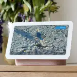Google Rolls Out New Fuchsia OS Firmware Update for Nest Hub Devices with Bug Fixes and Security Patches