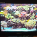 Why You Shouldn’t Recycle That Old CRT Monitor Just Yet: Four Ways It Beats Modern Flat Panels