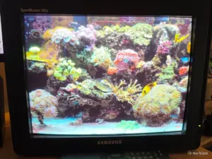 Why You Shouldn’t Recycle That Old CRT Monitor Just Yet: Four Ways It Beats Modern Flat Panels